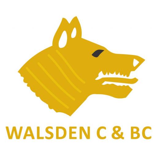 Walsden C & BC Ladies