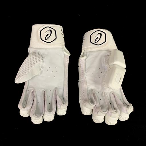 DS 122 gloves 3.jpg