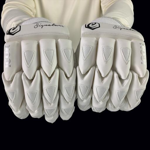 signature gloves 3.jpg