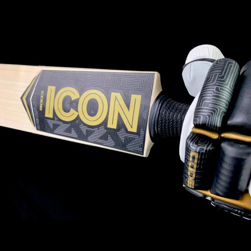 ICON - Code Cricket bat & glove.png